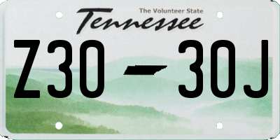 TN license plate Z3030J