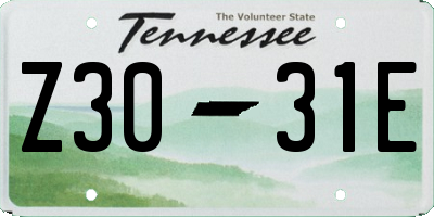 TN license plate Z3031E