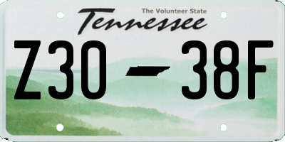 TN license plate Z3038F