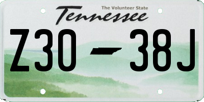TN license plate Z3038J