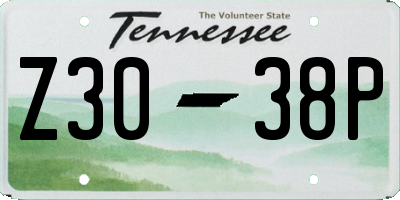 TN license plate Z3038P