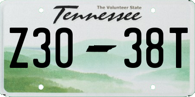 TN license plate Z3038T