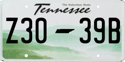 TN license plate Z3039B