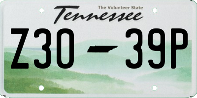 TN license plate Z3039P