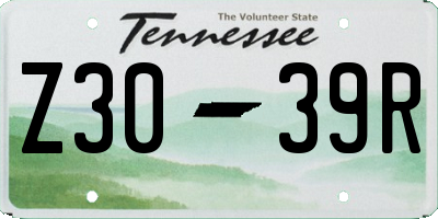 TN license plate Z3039R