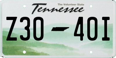 TN license plate Z3040I