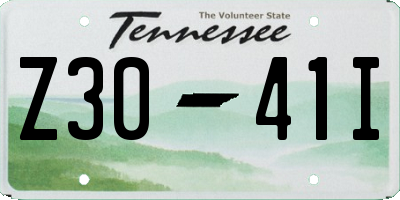TN license plate Z3041I