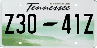 TN license plate Z3041Z