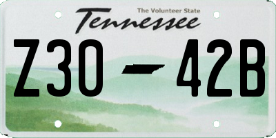 TN license plate Z3042B