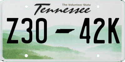 TN license plate Z3042K