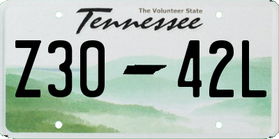 TN license plate Z3042L