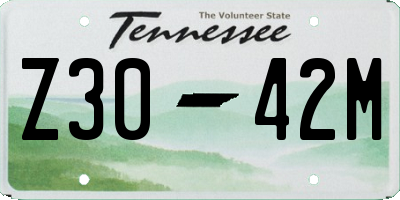 TN license plate Z3042M