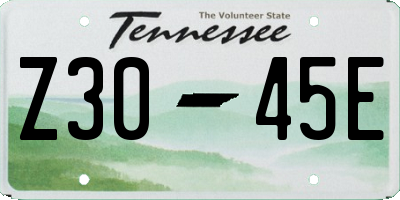 TN license plate Z3045E