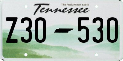 TN license plate Z3053O