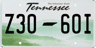 TN license plate Z3060I