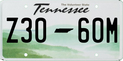 TN license plate Z3060M