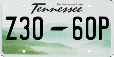 TN license plate Z3060P