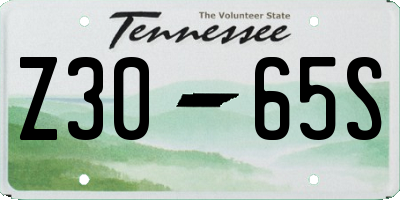 TN license plate Z3065S