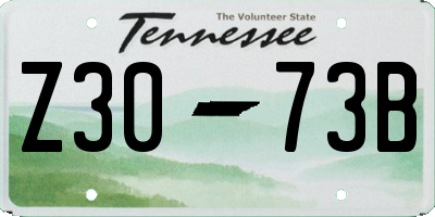 TN license plate Z3073B