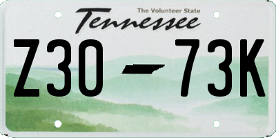 TN license plate Z3073K