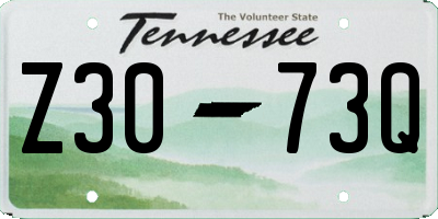 TN license plate Z3073Q