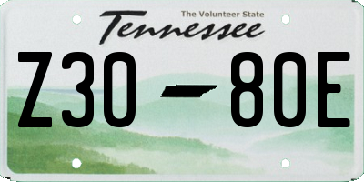 TN license plate Z3080E