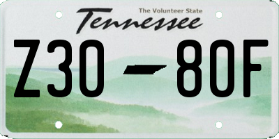 TN license plate Z3080F
