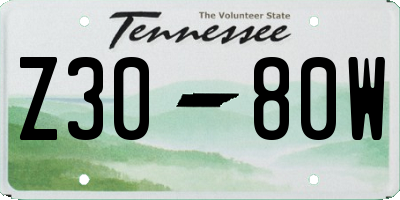 TN license plate Z3080W