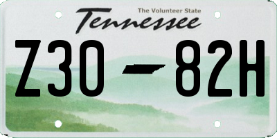 TN license plate Z3082H