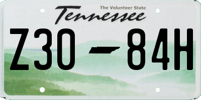 TN license plate Z3084H