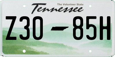 TN license plate Z3085H