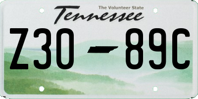 TN license plate Z3089C