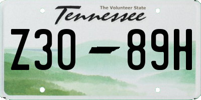 TN license plate Z3089H