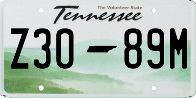 TN license plate Z3089M