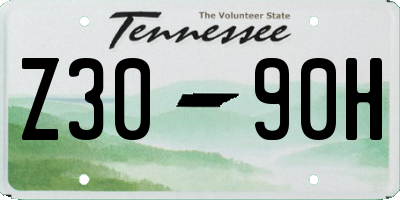 TN license plate Z3090H