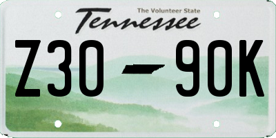TN license plate Z3090K