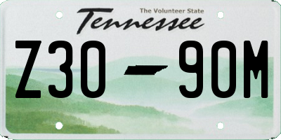 TN license plate Z3090M