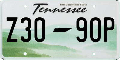 TN license plate Z3090P