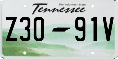 TN license plate Z3091V