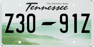TN license plate Z3091Z