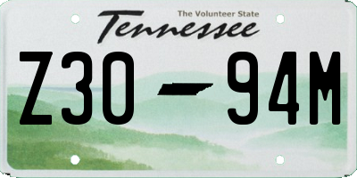TN license plate Z3094M