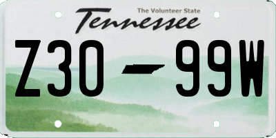 TN license plate Z3099W