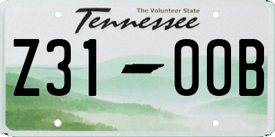 TN license plate Z3100B