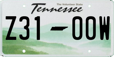 TN license plate Z3100W