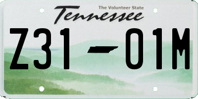 TN license plate Z3101M