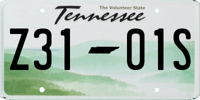 TN license plate Z3101S