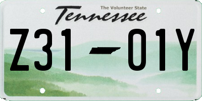 TN license plate Z3101Y