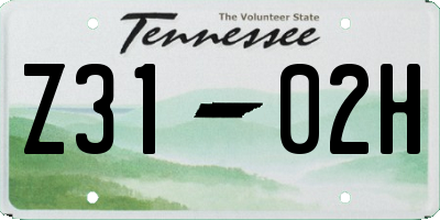 TN license plate Z3102H