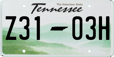 TN license plate Z3103H