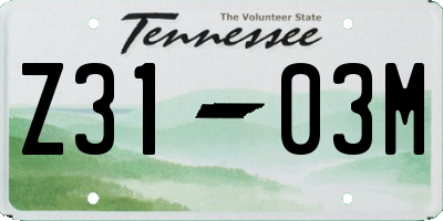 TN license plate Z3103M